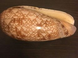 10 Karya Seni yang Tercipta Tidak Sengaja, Cantik Banget!