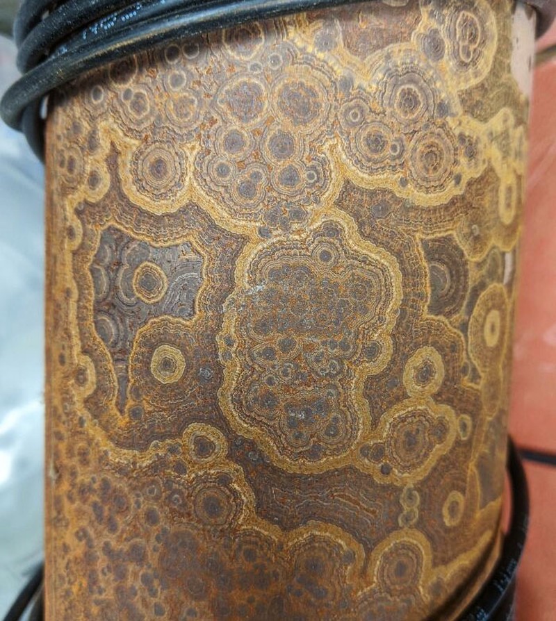 Seni yang tak sengaja