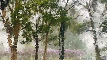 Kaca depan yang terkena hujan seperti lukisan cat air. Foto: Boredpanda