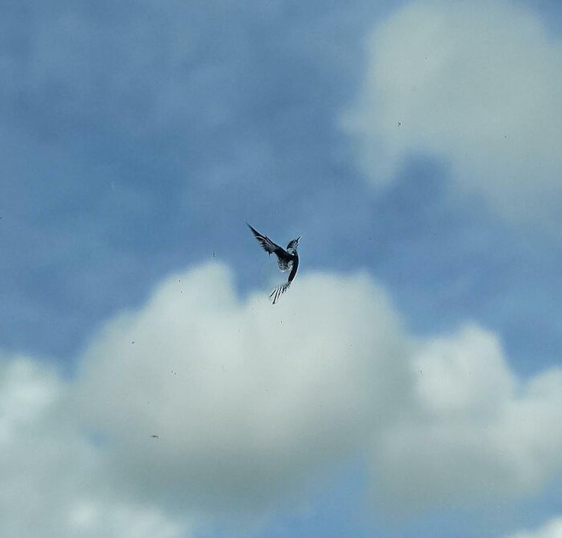 Seni yang tak sengaja