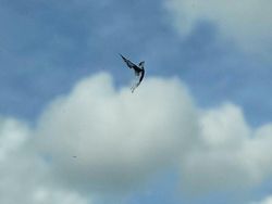 10 Karya Seni yang Tercipta Tidak Sengaja, Cantik Banget!