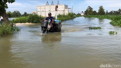 Potret Luapan Banjir Bengawan Njero Rendam 35 Desa di Lamongan