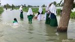 Potret Luapan Banjir Bengawan Njero Rendam 35 Desa di Lamongan