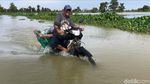 Potret Luapan Banjir Bengawan Njero Rendam 35 Desa di Lamongan