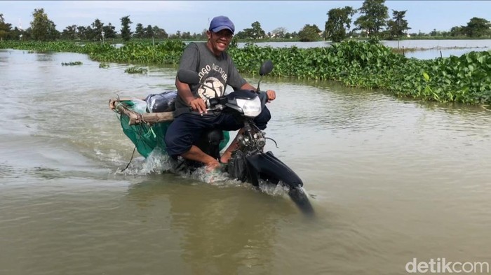Banjir luapan Bengawan Njero semakin meluas di Lamongan