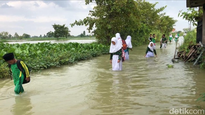 banjir lamongan luapan bengawan njero