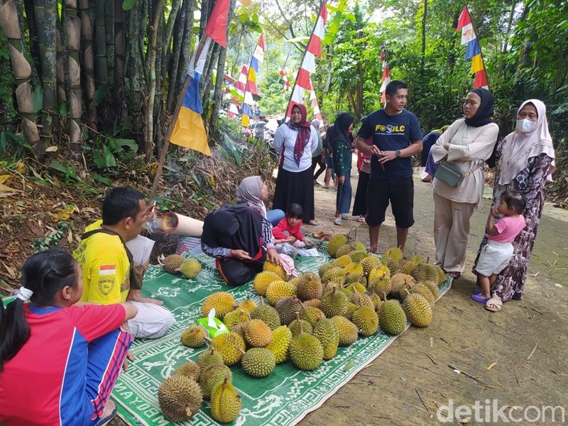 Berburu durian di Ngropoh Temanggung, Minggu (19/2/2023).