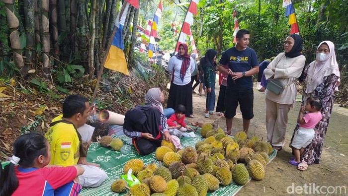 Berburu durian di Ngropoh Temanggung, Minggu (19/2/2023).