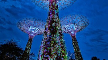 Hasil jepretan Dian Sastrowardoyo menggunakan kamera 200MP di Galaxy S23 Ultra 5G yang dibekali peningkatan kemampuan Nightography. Foto: Samsung