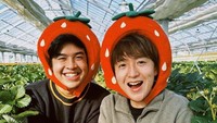 Saat di Jepang, Jerome Polin dan teman-temannya asyik berwisata. Mereka memetik strawberry segar langsung dari kebunnya. Ukurannya besar-besar dan manis rasanya. Foto: Instagram/jeromepolin
