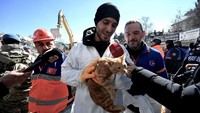 Seorang penyelamat membawa seekor kucing yang diselamatkan dari reruntuhan bangunan akibat gempa di Kahramanmaras, Turki, Kamis (16/2/2023). Kucing oren tersebut berhasil diselamatkan pada 10 hari atau 248 jam setelah gempa bermagnitudo 7,8 terjadi. 