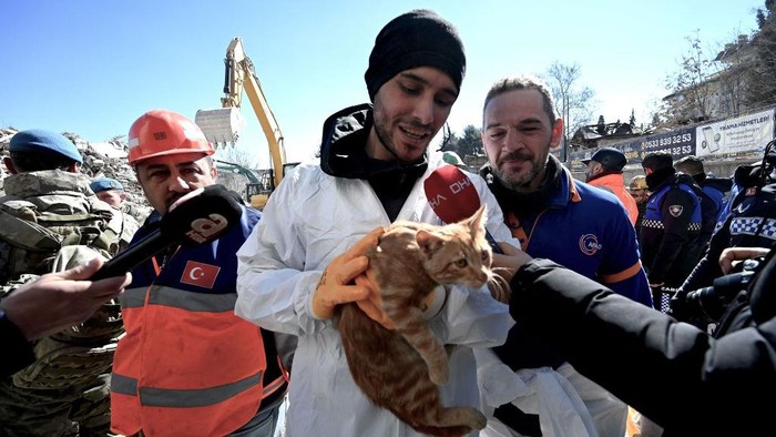 Potret Kucing Oren yang Selamat Usai Terjebak 10 Hari di Reruntuhan Gempa Turki A rescuer holds a cat which was rescued from a collapsed building, 248 hours after the 7.8-magnitude earthquake which struck parts of Turkey and Syria, in Kahramanmaras on February 16, 2023. (Photo by OZAN KOSE / AFP) (Photo by OZAN KOSE/AFP via Getty Images)