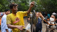 Biasanya ikan yang ditangkap adalah ikan lele atau gabus.   