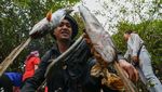 Serunya Tradisi Menangkap Ikan di Kamboja