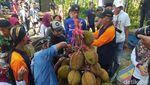 Potret Wiwit Ngunduh Durian di Temanggung