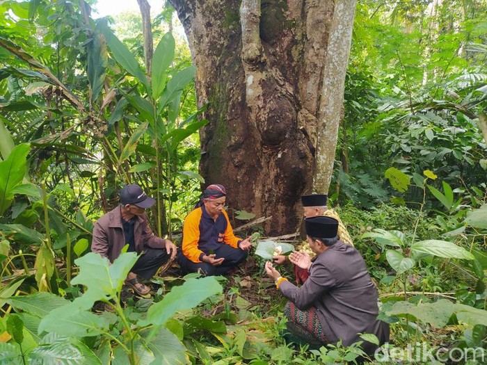 Warga Ngropoh Temanggung Gelar Ritual Wiwit Duren, Minggu (19/2/2023).