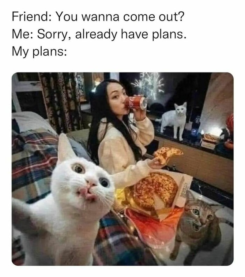 10 Meme yang Pas Buat Si Paling Ansos, Ngakak Abis!