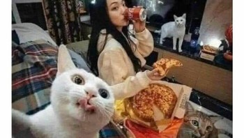 Rencana yang ideal buat recharge energi setelah kebanyakan bersosialisasi. Foto: antisocialmeme via Bored Panda