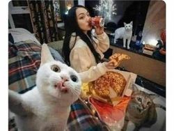 Selamat Hari Introvert Sedunia, Nih Meme Only Nolep Can Relate