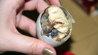 Paling terkenal di antara hidangan yang lain, inilah balut khas Filipina. Balut berisi embrio bebek yang dinikmati mentah. Berani coba?