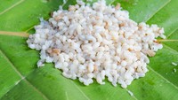 Di Thailand ada banyak makanan eksotis, salah satunya khai mot. Dibuat dari telur semut mentah yang konon punya tekstur lembut juicy dengan rasa asam mirip lemon.