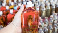 Berani coba? Vietnam punya ruou thuoc alias wine ular. Minuman alkohol ini dibuat dari ular utuh yang diawetkan bersama wine beras atau bijian. Konon minuman ini bisa meningkatkan libido!