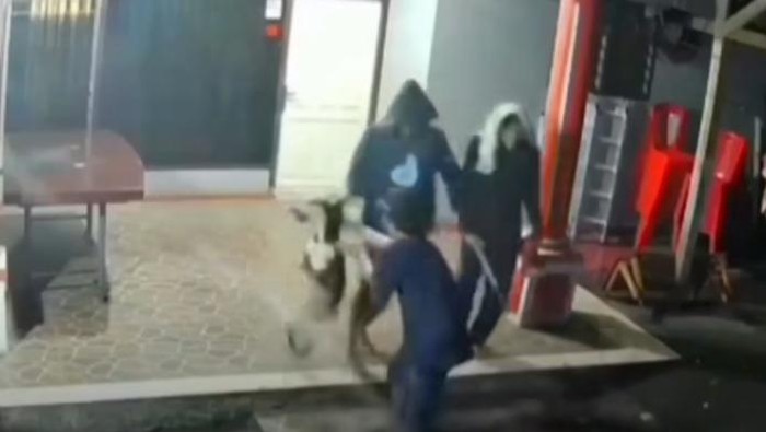 Aksi penganiayaan anjing di Minahasa Tenggara, Sulawesi Utara.