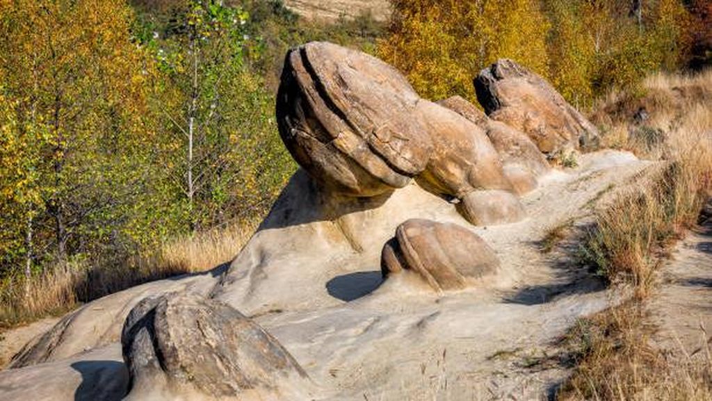 Begini Penampakan Trovant, Batu Misterius dari Rumania yang Bernyawa