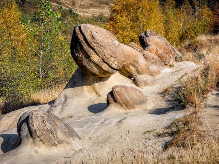 Begini Penampakan Trovant, Batu Misterius dari Rumania yang Bernyawa