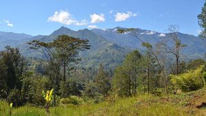 Dunia Hari Ini: Empat Peneliti Disandera di Papua Nugini