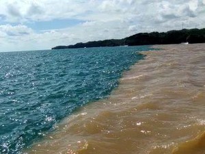 Viral Air Pantai di Gunungkidul Jadi 2 Warna, Ini Penjelasannya