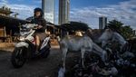 Macet di Jakarta Menggila, Jalan Tikus Jadi Idola Pengendara