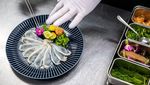 Ikan Buntal Macan, Sajian Mematikan Khas Fukushima Jepang