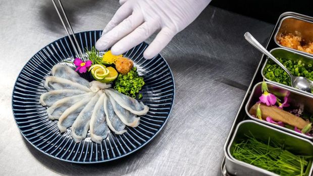 This photo taken on January 19, 2023 shows Yoshimasa Kanno, operator of the Minatoya hotel, preparing tiger puffer fish at his hotel in Soma city of Japan's Fukushima Prefecture. - The pufferfish filling fishermen's nets in Fukushima are a delicacy that can kill if wrongly prepared. To a community devastated by a 2011 nuclear disaster, however, they are also a lifeline. - To go with AFP story 