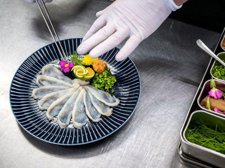 Ikan Buntal Macan, Sajian Mematikan Khas Fukushima Jepang