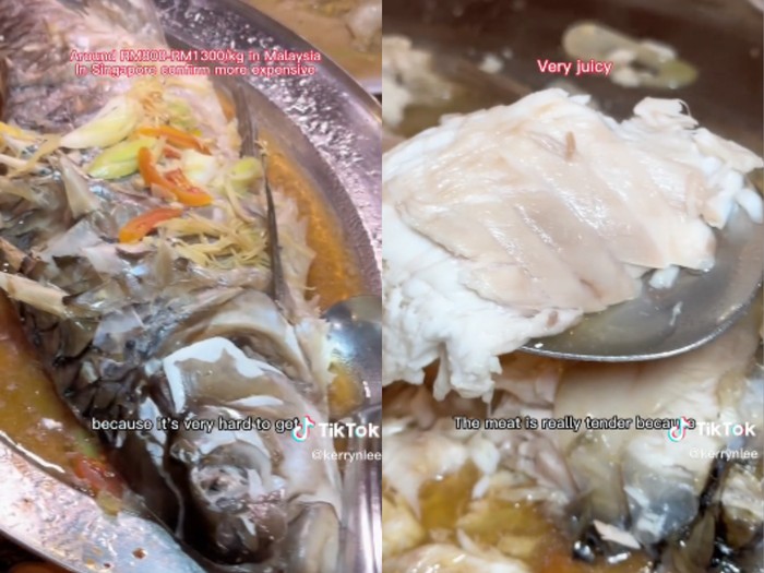 Ikan empurau, ikan langka asal Malaysia yang harganya fantastis