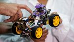 Ilmuwan Israel Bikin Robot Pengendus Penyakit dengan Antena Belalang