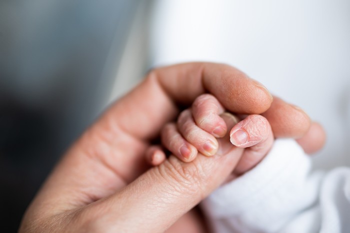 hand of newborn baby who has just been born holding the finger of his fathers hand.