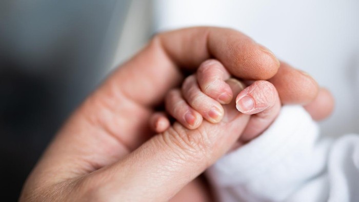 hand of newborn baby who has just been born holding the finger of his fathers hand.