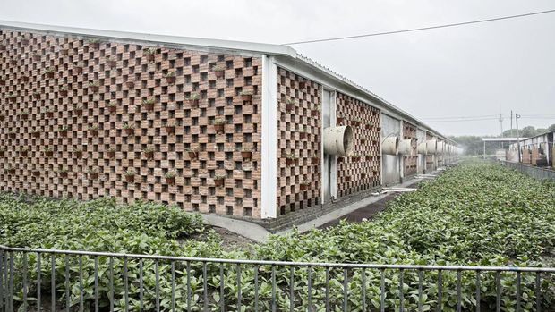 Kabut yang mengandung disinfektan dan larutan penghilang bau menyemprot keluar saat kipas ventilasi kandang babi bangunan di peternakan babi bebas antibiotik Jia Hua di Tongxiang, China, Kamis, 15 September 2016. Peternak babi Shen Jian-Ping telah menghabiskan 4,7 juta yuan ($700.000) untuk memberikan kandang babinya yang lebih lapang, berventilasi lebih baik, dan ada tiga dokter hewan penuh waktu untuk membantu menjaga kesehatan kawanan 465 babi. (File Foto - Qilai Shen/Bloomberg via Getty Images)