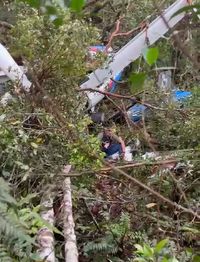 Kondisi Penumpang Heli Rombongan Kapolda Jambi Yang Jatuh Di Hutan