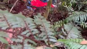 Alhamdulillah! Tim SAR Berhasil Mendarat di Lokasi Laka Heli Kapolda Jambi