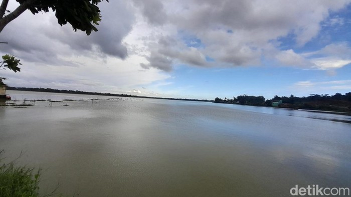 Kondisi Sawah yang terendam banjir di Paledah, Pangandaran, Senin (20/2/2023).