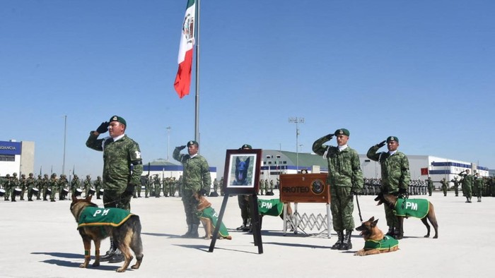 Melepas Proteo, Anjing Heroik yang Mati dalam Misi Kemanusiaan di Turki Soldiers salute while doing an honor guard, during the homage to rescue dog Proteo, who died during the rescue efforts in the town of Adiyaman, Turkey, at the Santa Lucia Air Force Base in Zumpango, Mexico, February 16, 2023. National Defense Secretary (SEDENA)/Handout via REUTERS THIS IMAGE HAS BEEN SUPPLIED BY A THIRD PARTY. NO RESALES. NO ARCHIVES