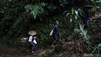 Dari beberapa warga yang dijumpai, sudah banyak penduduk Baduy Luar yang menggunakan alas kaki.