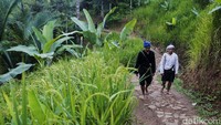 Warga Baduy Luar memakai baju hitam dan celana hitam. Semendara warga Baduy Dalam hanya boleh menggunakan baju kurung berwarna putih dengan bawahan sarung.