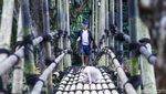 Menapaki Keasrian Suku Baduy Luar