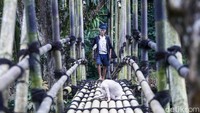 Suku Baduy terletak di Kabupaten Lebak, Banten. Dari Jakarta, Suku Baduy bisa ditempuh dengan mobil selama kurang lebih 4 jam perjalanan.