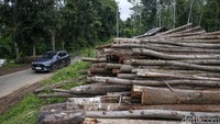 Nah! Asyiknya, New MG HS ini dibekali dengan karakter pengendalian yang tajam serta lincah. Terima kasih kepada sasis serta setelan suspensinya yang kaku, ngebut dengan New MG HS terasa percaya diri.