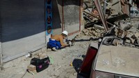 Di lokasi ini banyak hewan terperangkap dalam reruntuhan setelah gempa dahsyat pada 6 Februari lalu.  